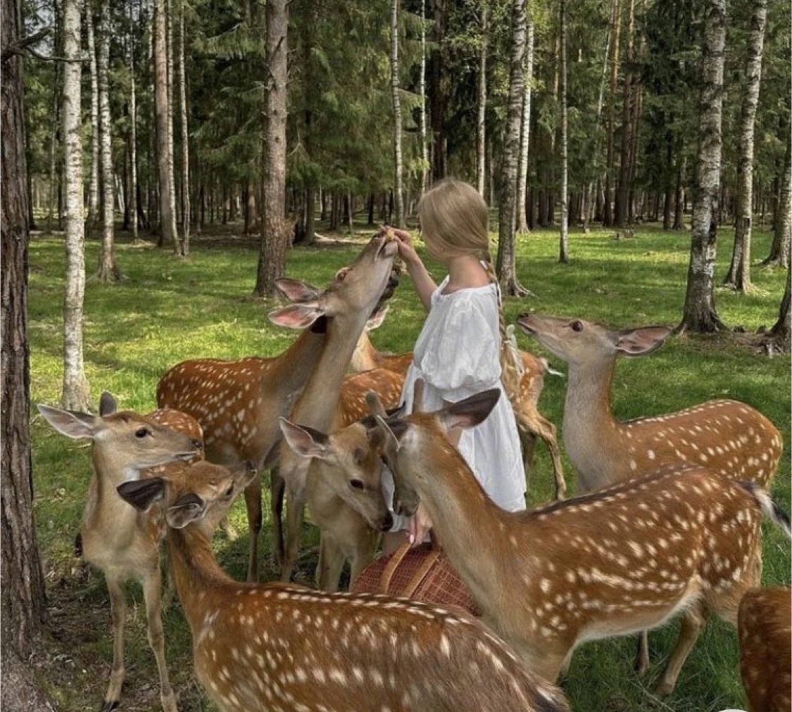 Бэмби Лэнд